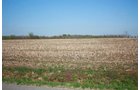 Property photo 10 - 641 Acres Offered in 16 Tracts - 545 Cropland Acres